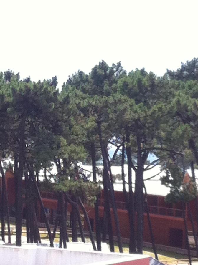 Beach House Cabedelo Viana do Castelo Kültér fotó